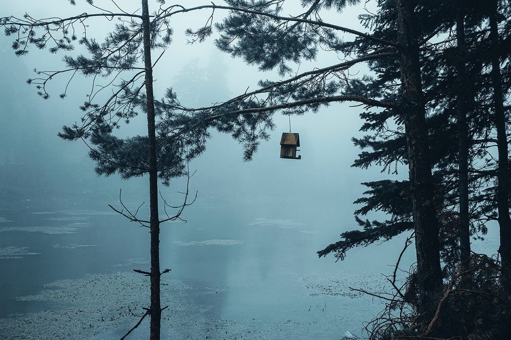 Photograph by Ersin Türk