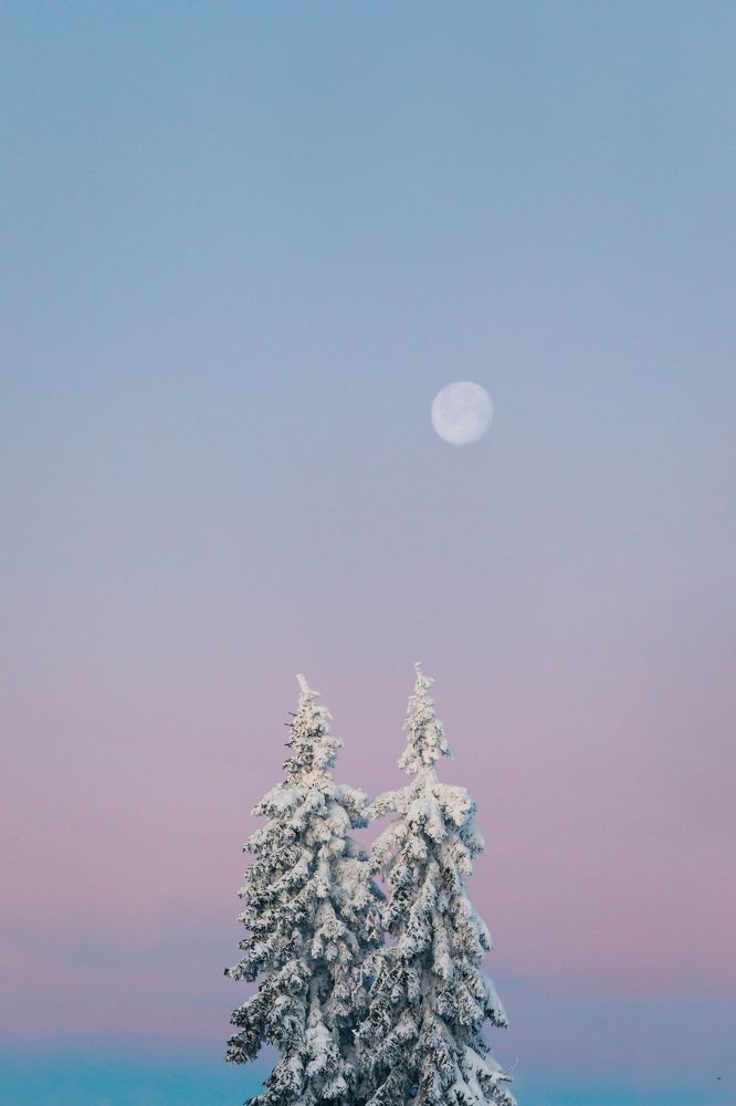 Photograph by Amadeja Knez