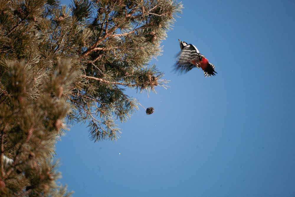 Photograph by Глеб