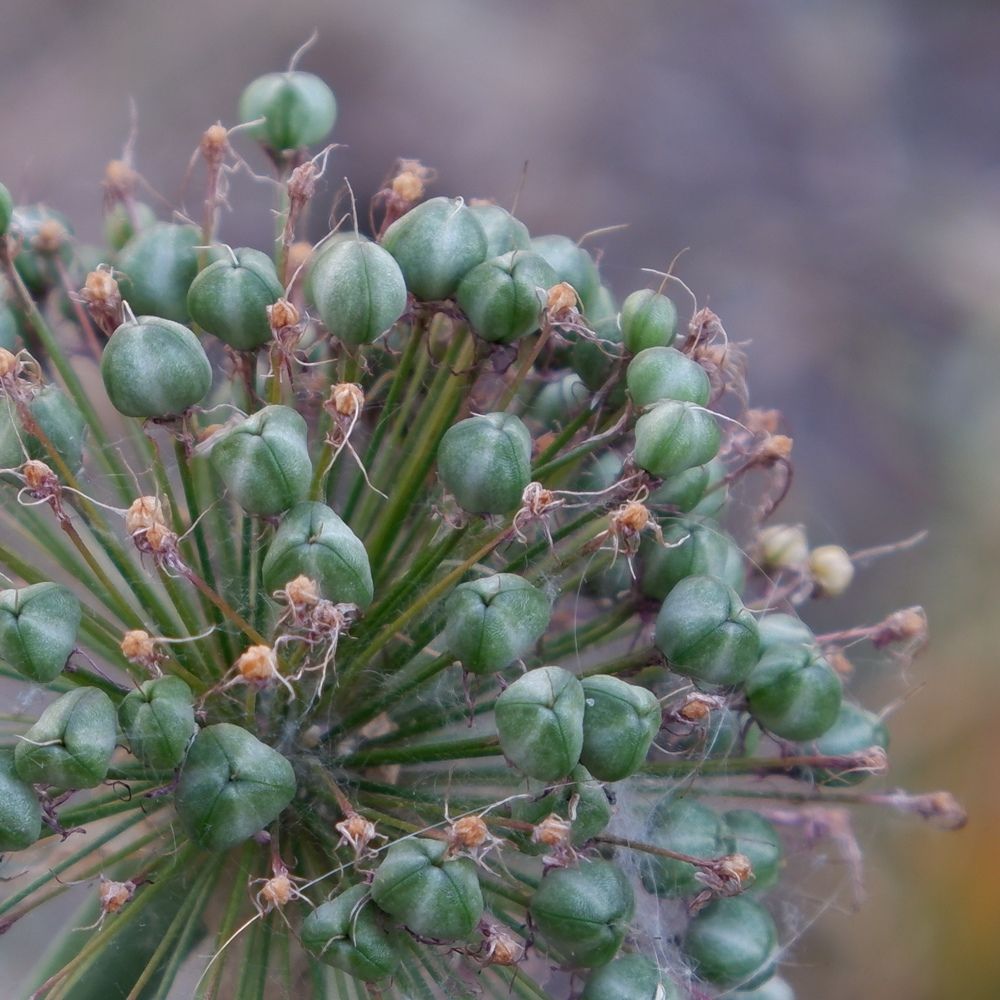 Photograph by Ольга Тюрина