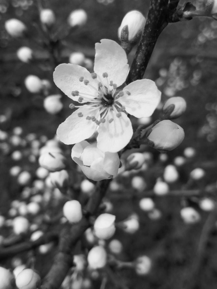 Photograph by Полина Зайцева