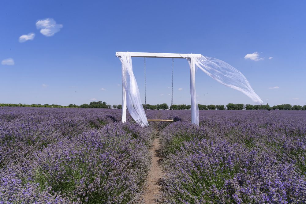 Фотография автора Ирина Зайцева