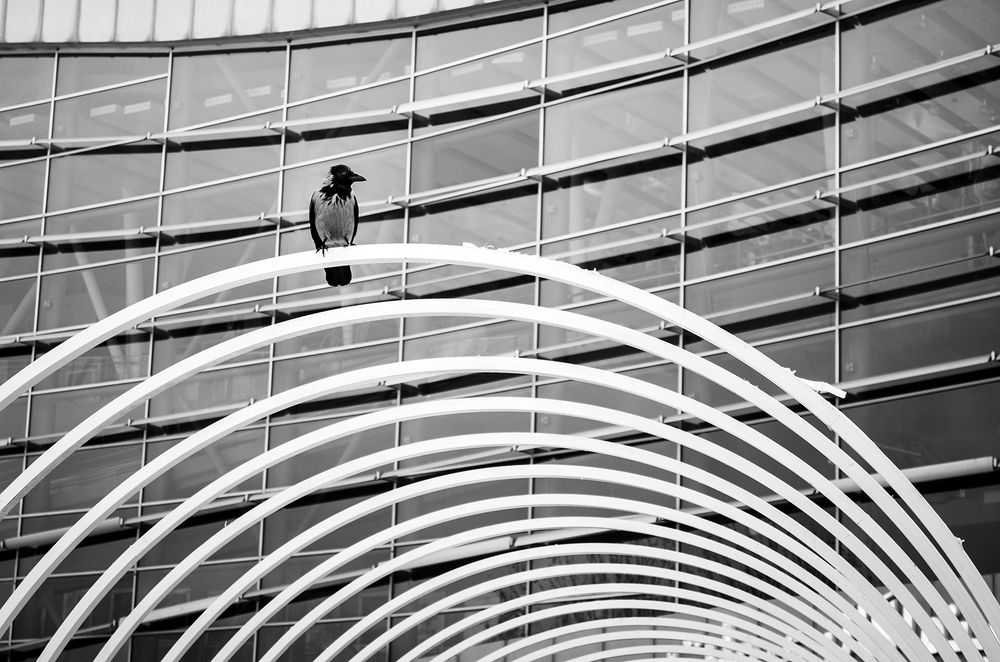 Photograph by Sahar Jafari