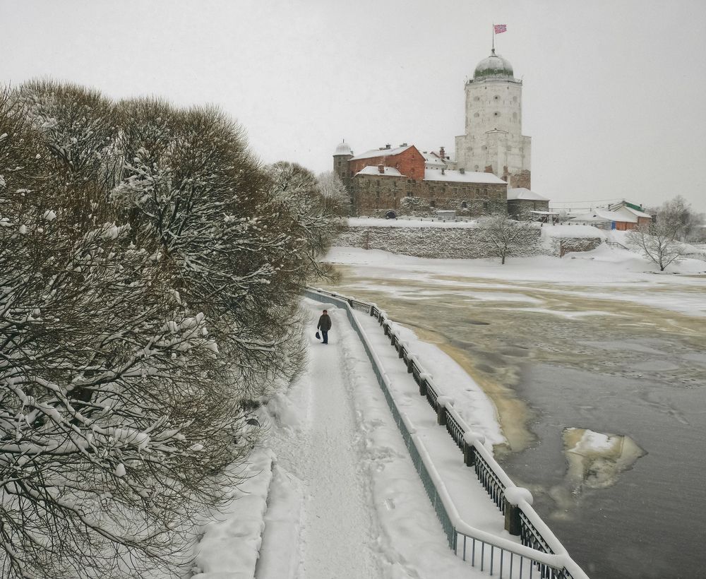 Фотография автора Ольга Виноградова