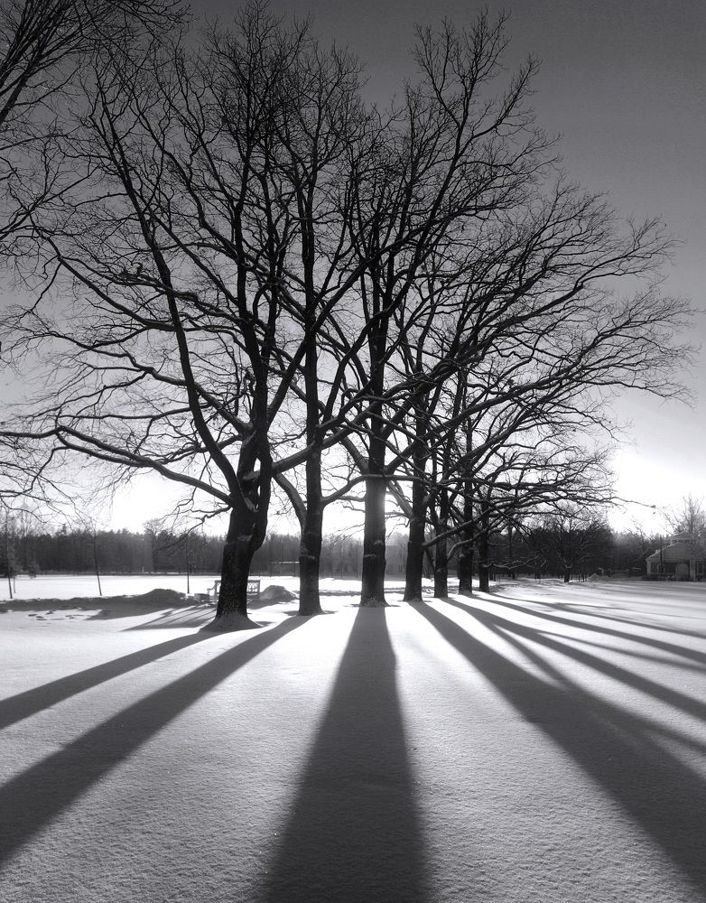 Photograph by 