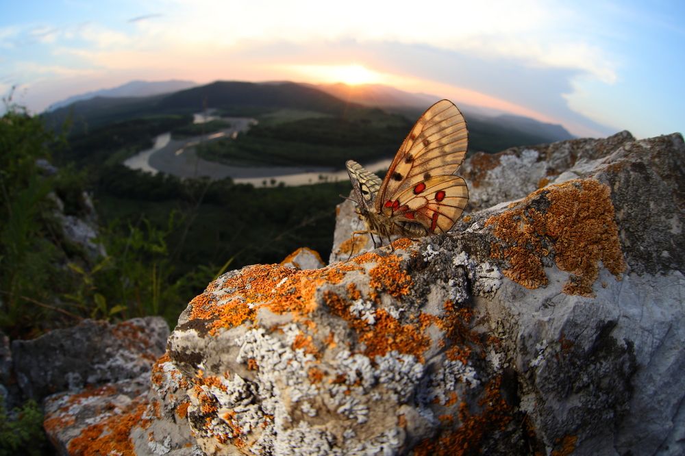 Фотография автора Иван Науменко