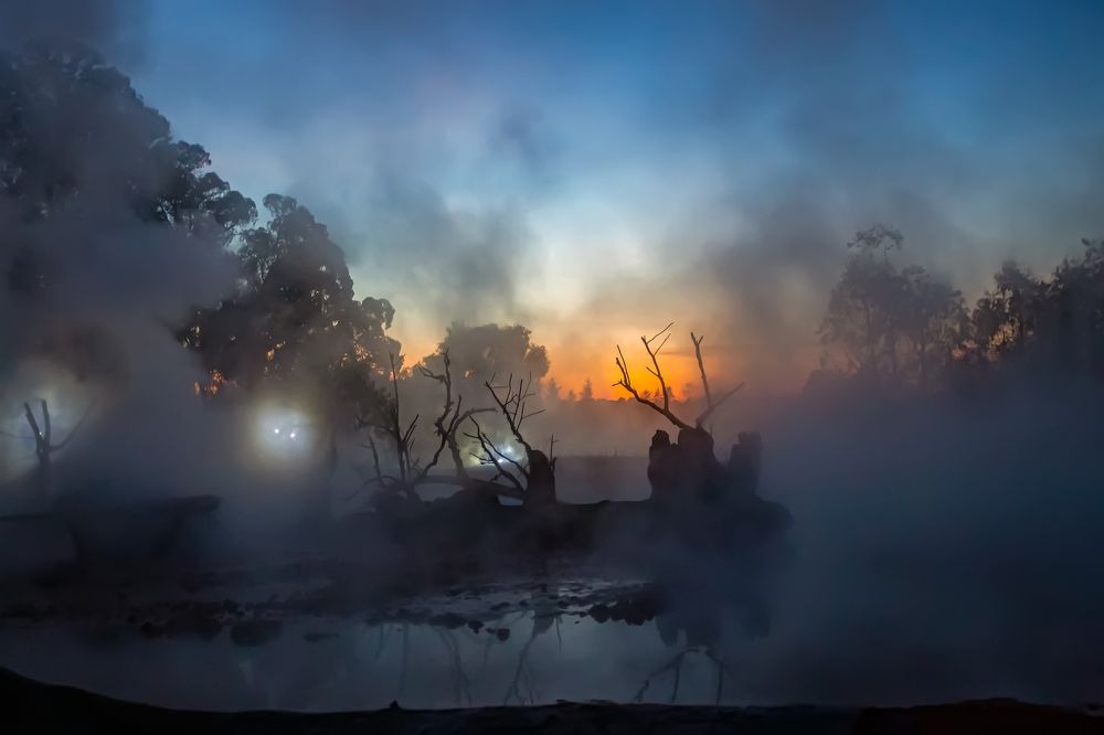 Photograph by Tatyana Sonkina