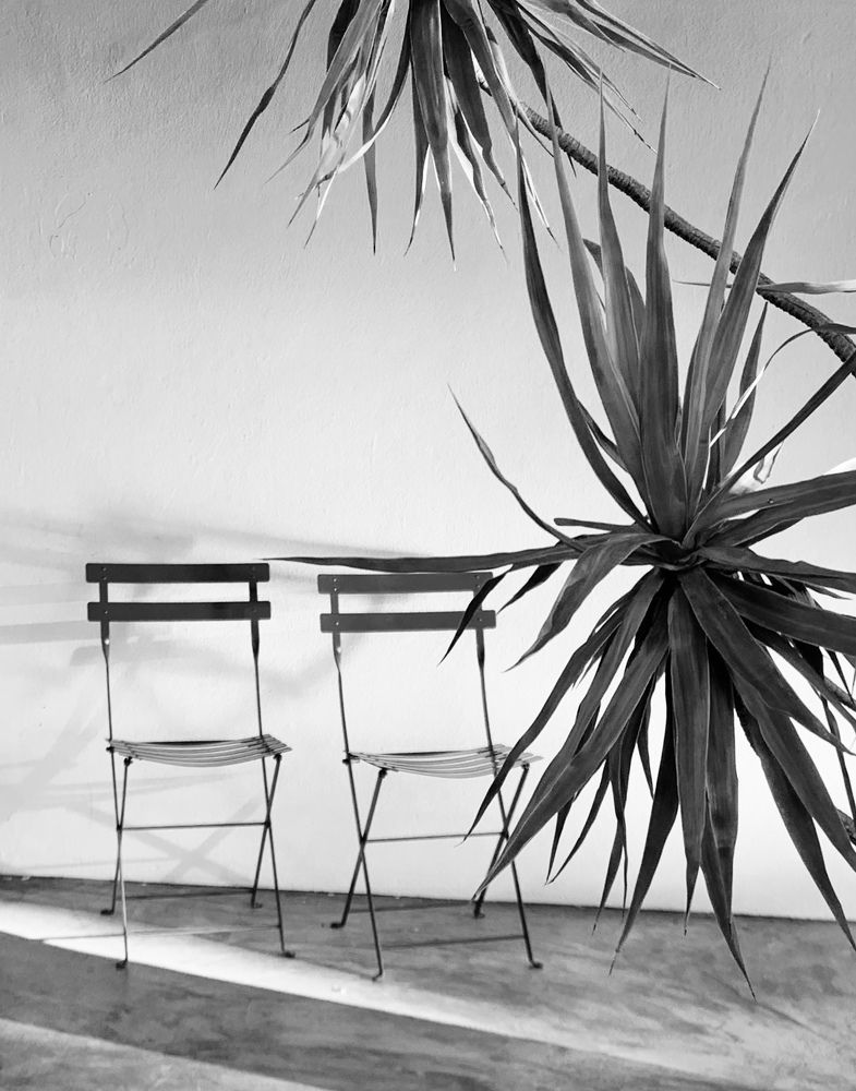 Photograph by Christine ECHEVET-ADAM de VILLIERS