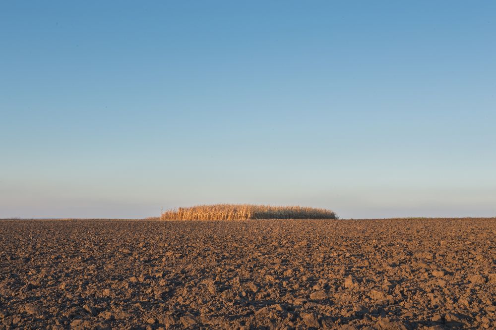 Фотография автора Владислав Марухин