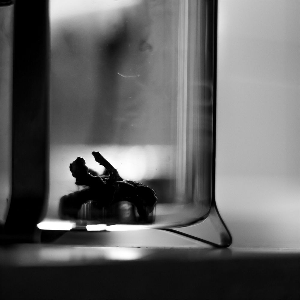 Photograph by Акулла