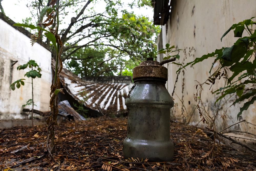 Photograph by HUGO MARCELO CACERES