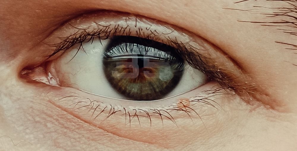 Photograph by Илья Исаев