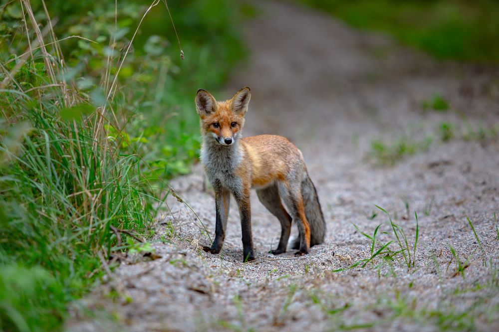Photograph by Tatyana Sonkina