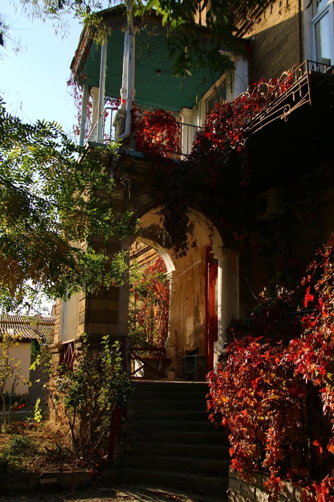 Photograph by Мария Баннова