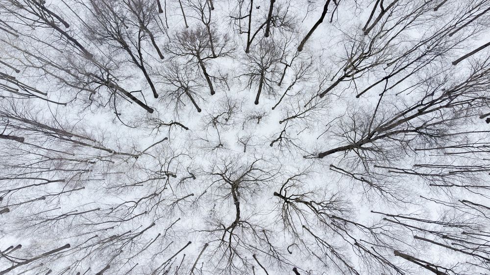 Photograph by Tatyana Sonkina