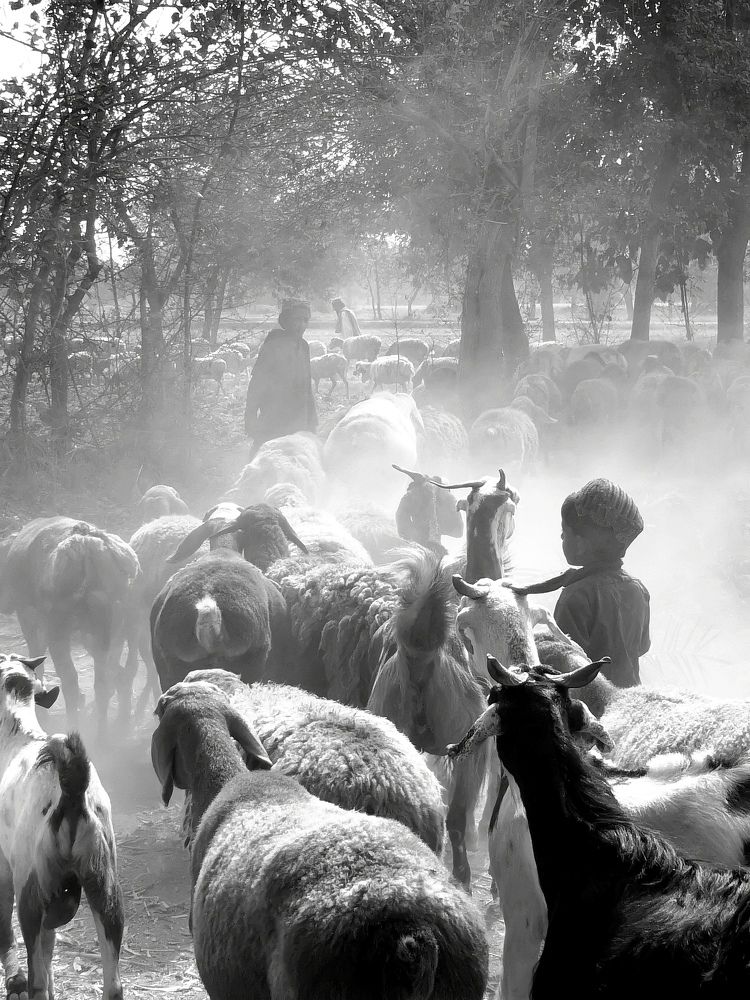 Photograph by Junaid jafar