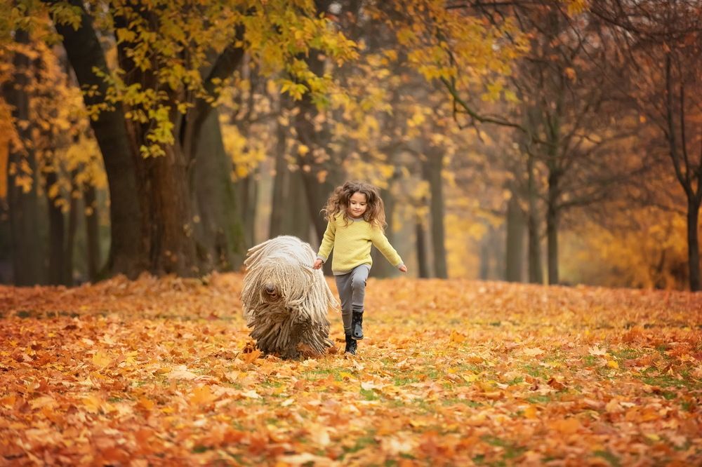 Фотография автора Анжелика