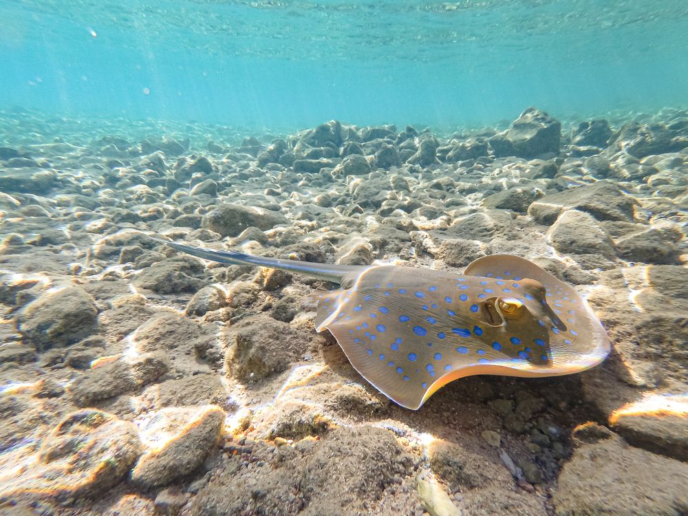 Photograph by Tatyana Sonkina