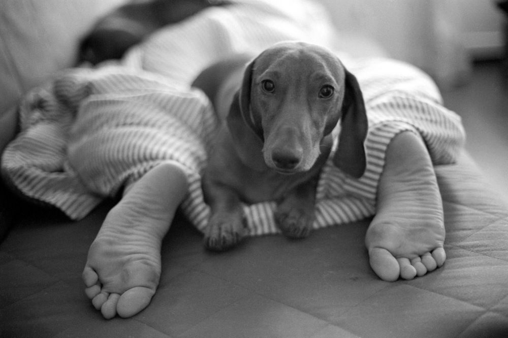 Photograph by Andrew Mind