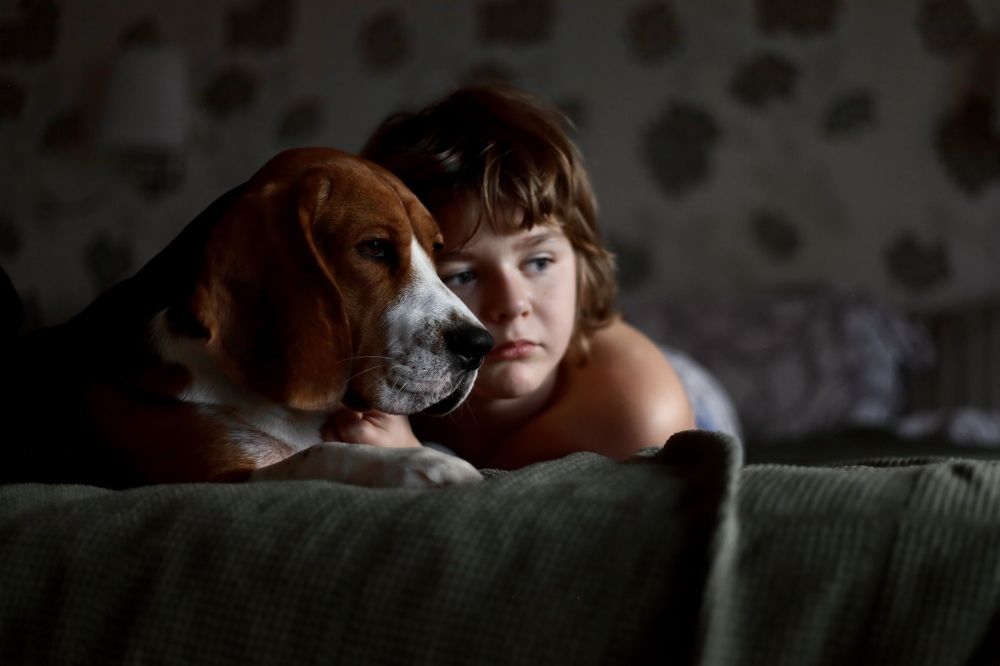 Photograph by Алина Томарева