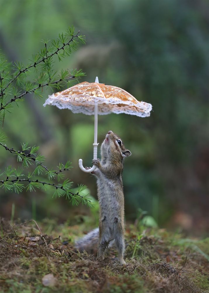 Photograph by Евгения Левина