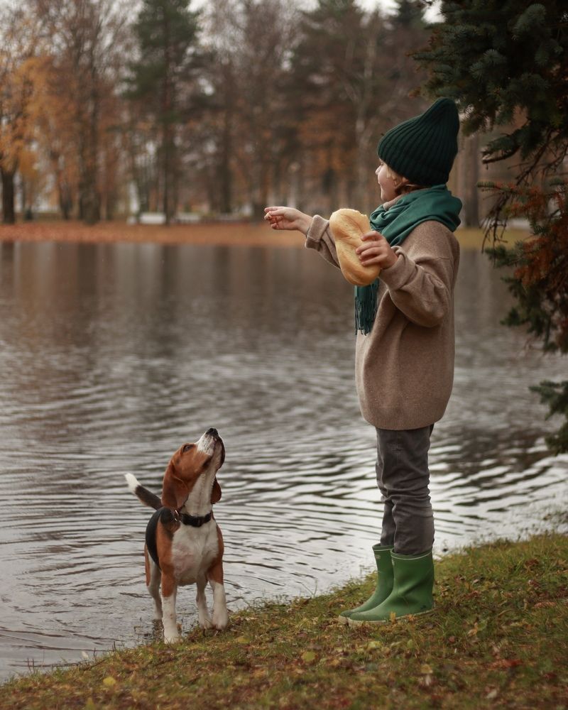 Photograph by Алина Томарева