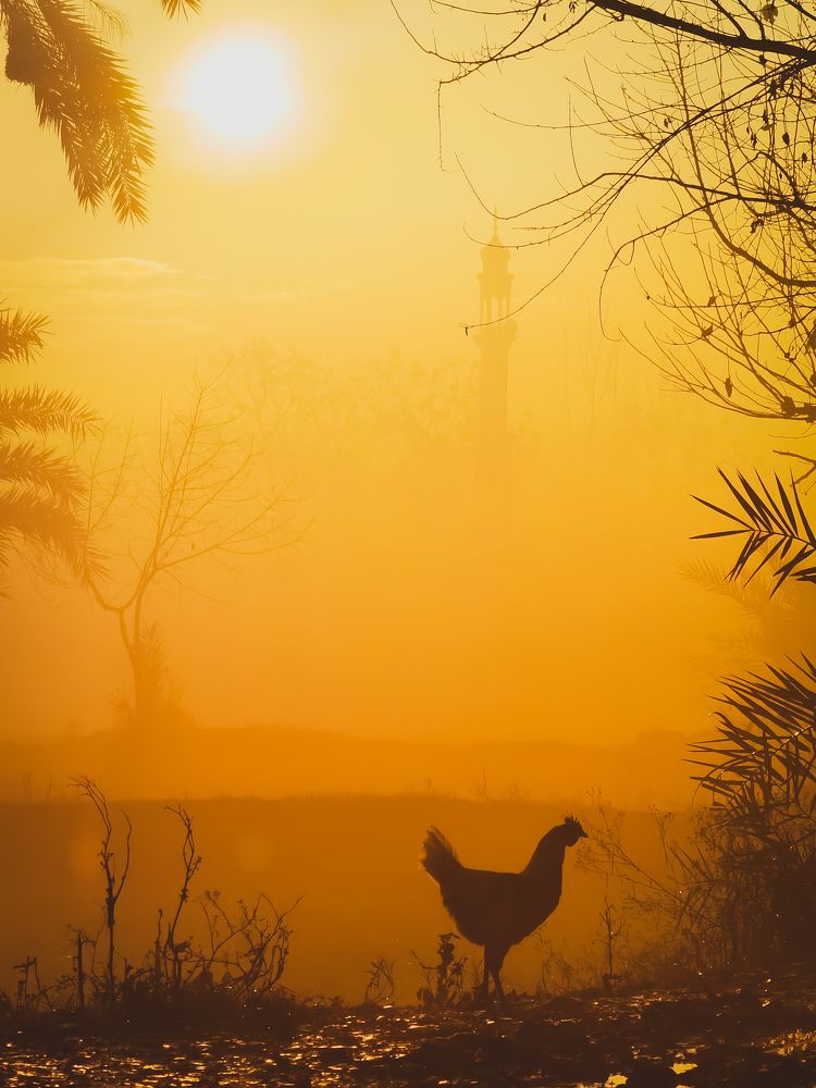 Early in the morning.