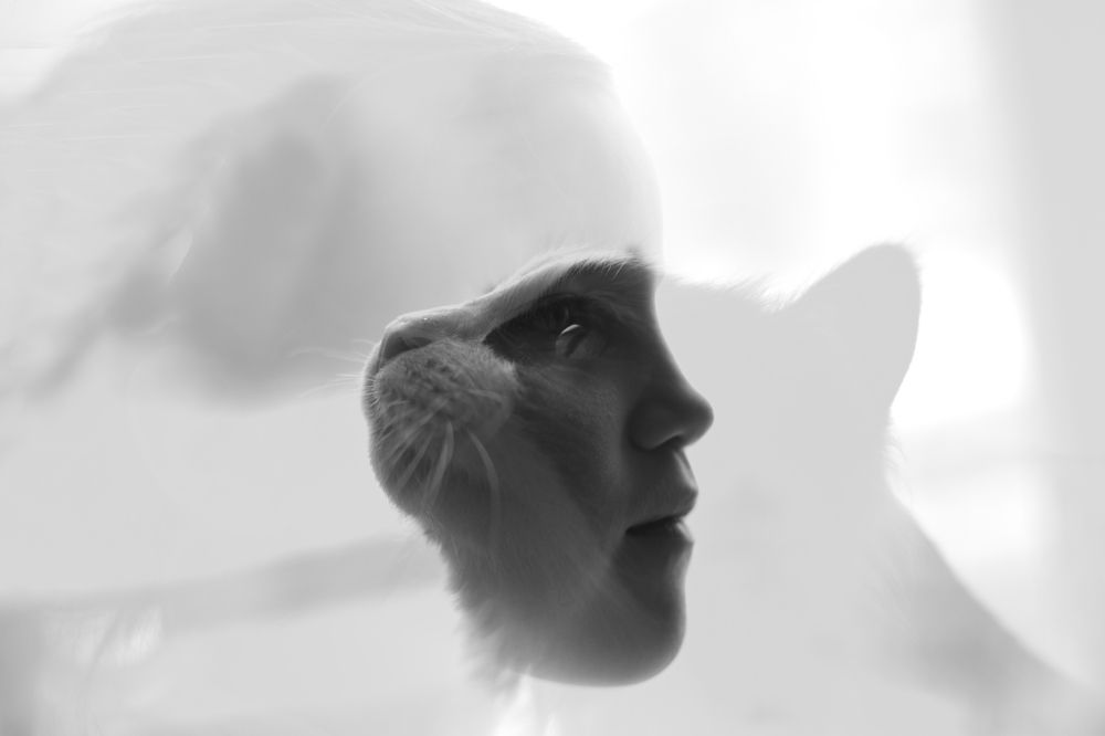 Photograph by Марина Шамгулова