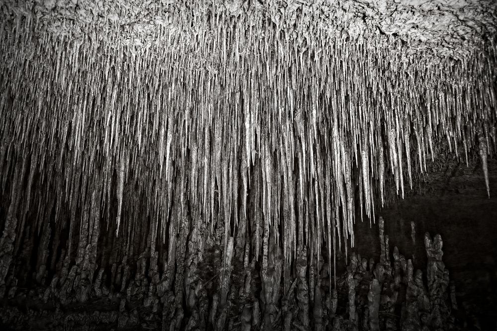 Photograph by Дмитрий Плотников