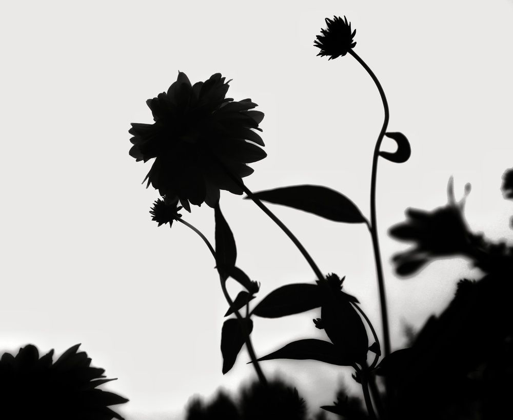 Photograph by Анастасия