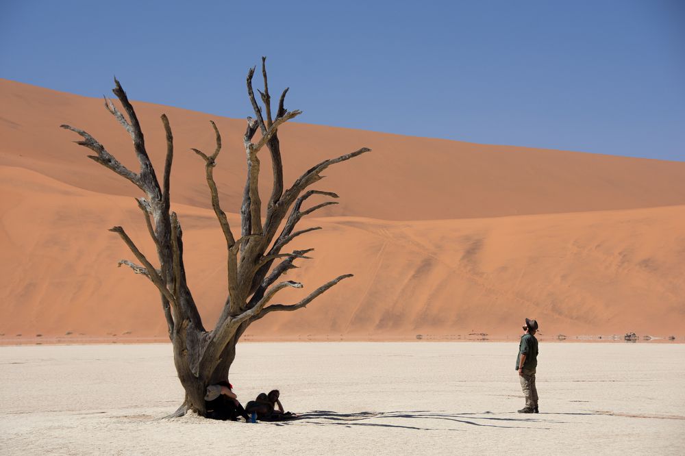 Photograph by Jeff Torroja