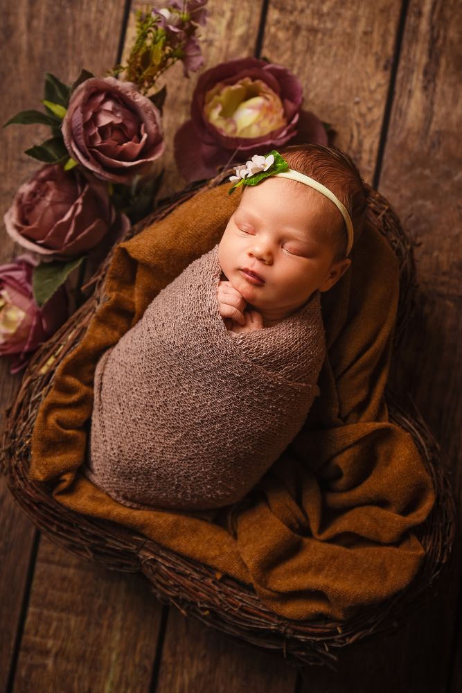 Photograph by Bojan Migac