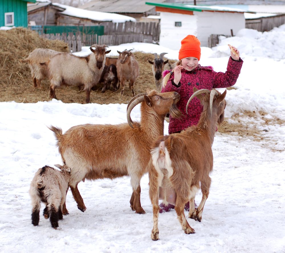 Деревенские попрошайки