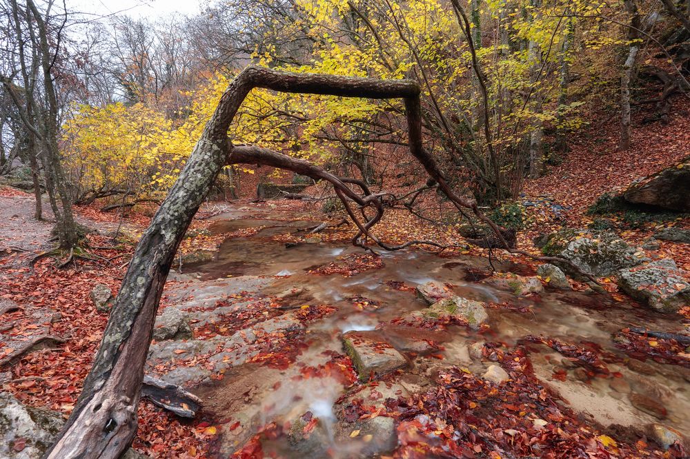 Photograph by Анастасия Калинцева