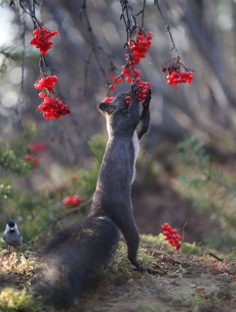 Photograph by Евгения Левина