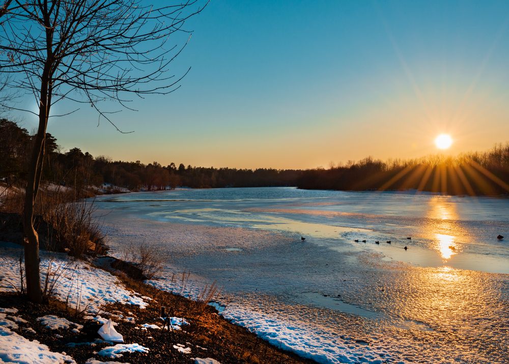 Photograph by Вероника