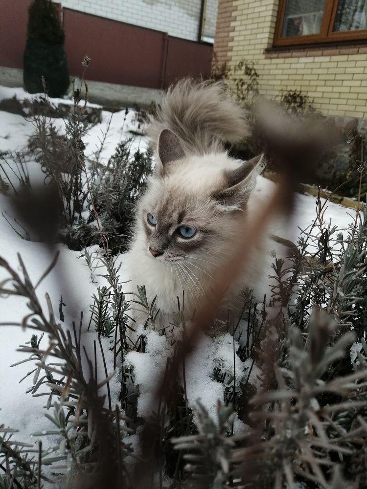 Photograph by Марина