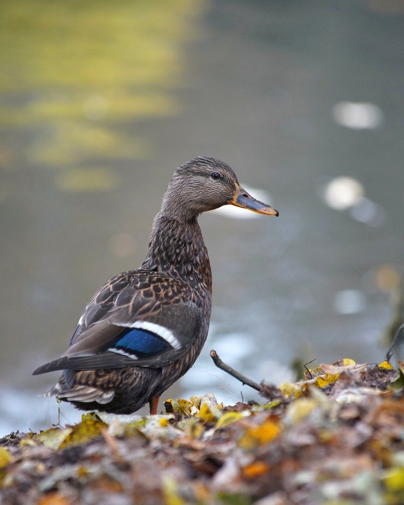 Photograph by Travel Azart