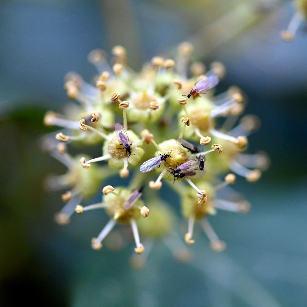 Photograph by Дмитрий Батагов