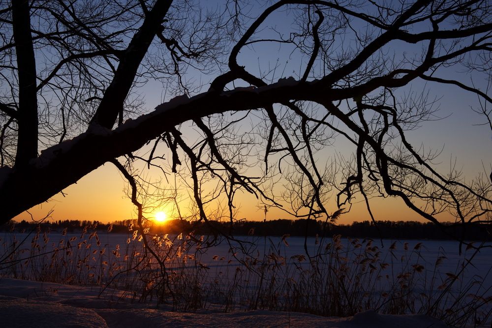 Photograph by Александр Кращук