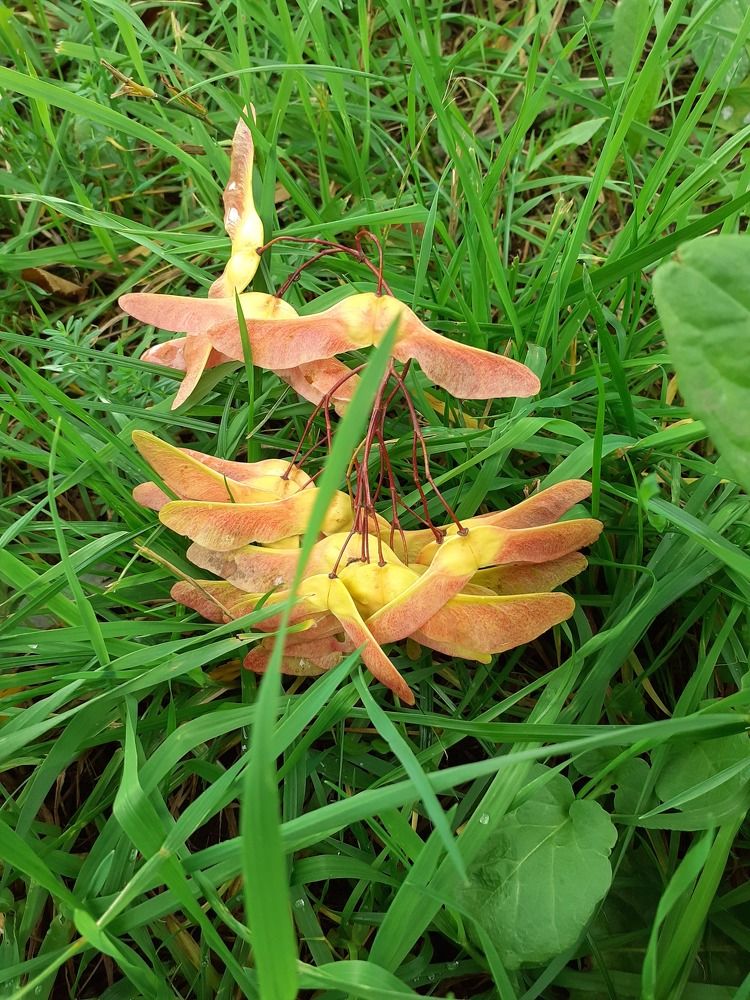 Photograph by Евгения Ульянова