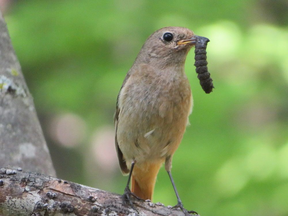 Photograph by Ольга Панкова