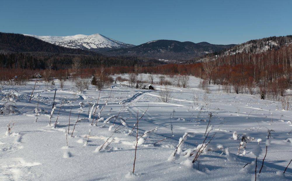 Photograph by Александр Полюдов