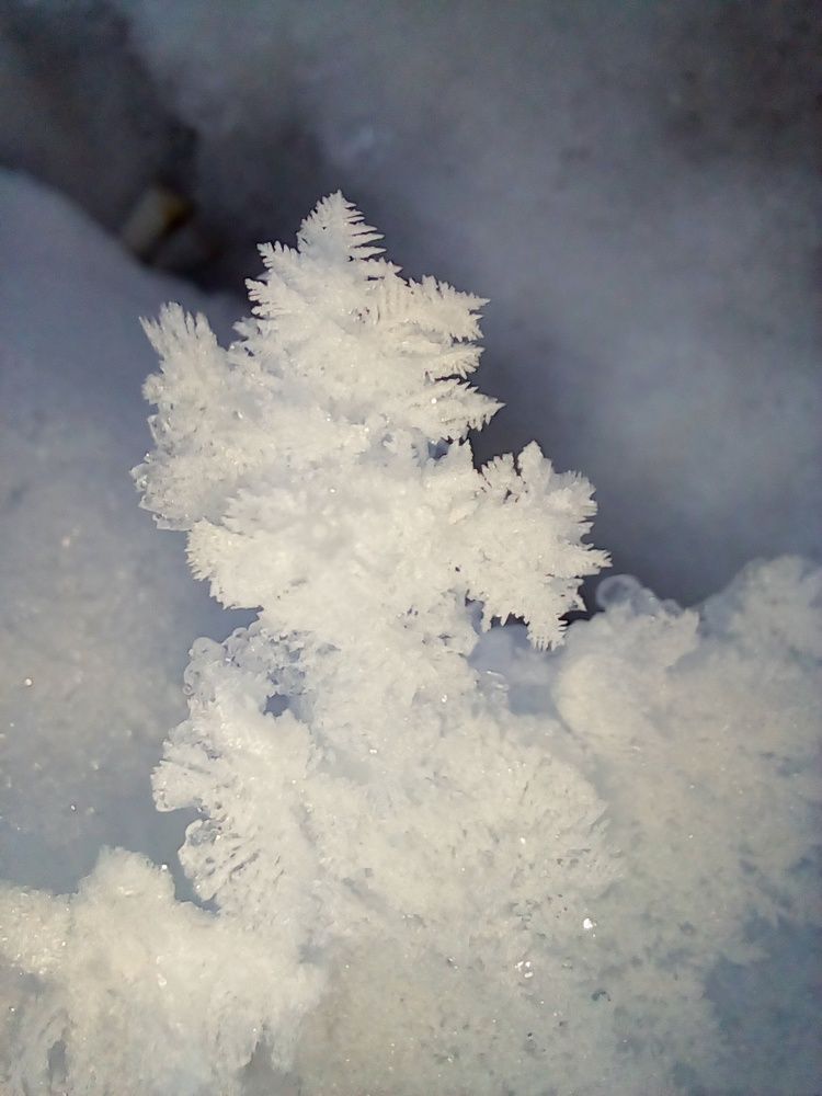 Photograph by Татьяна Собенникова