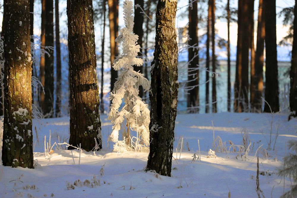 Photograph by Юрий Епифанцев