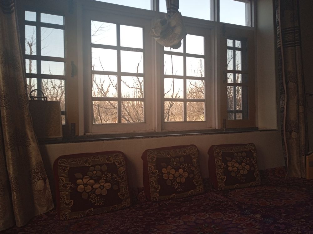 Photo #7301718