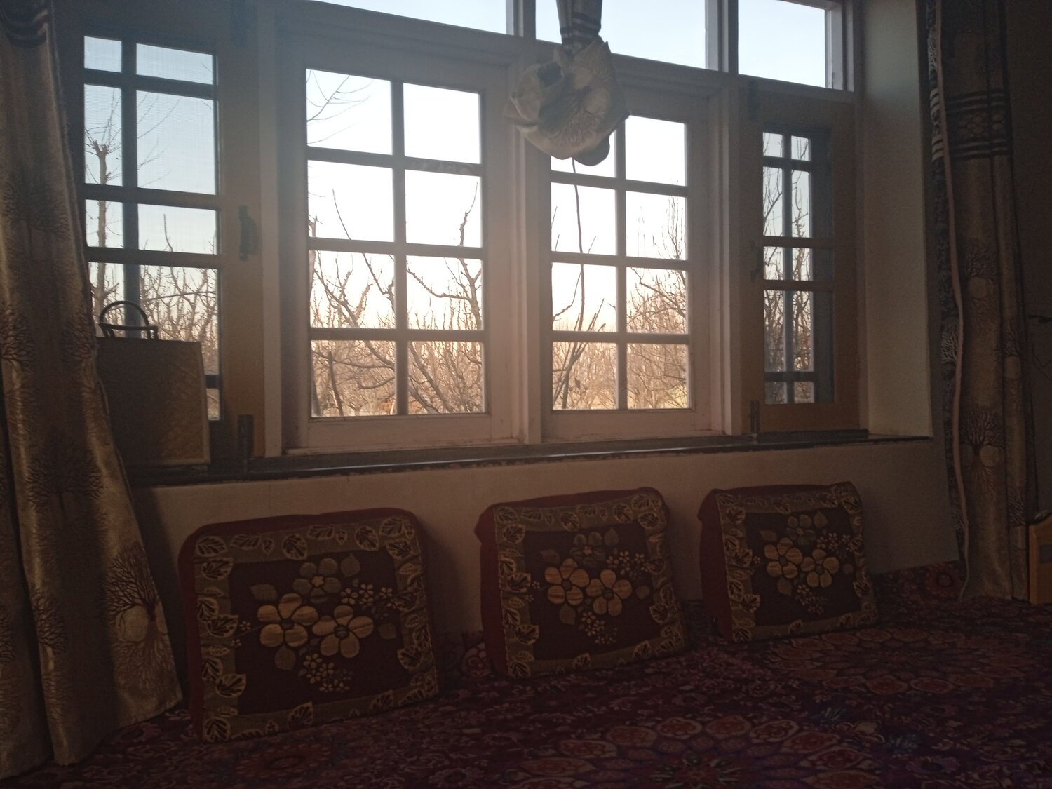 Photo #7301718