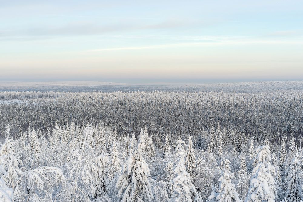 Фотография автора Наталья