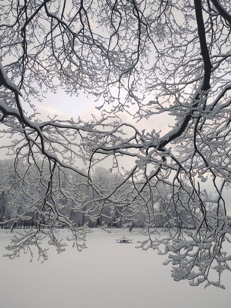 Photograph by Людмила М