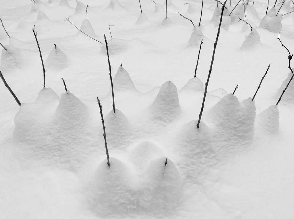 Photograph by Evgenia Levin